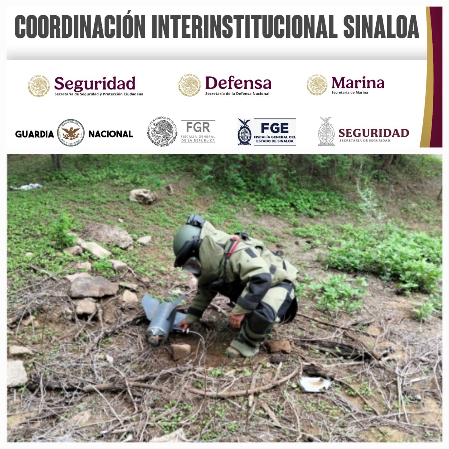 Autoridades aseguran 31 artefactos explosivos en un poblado de Culiacán y deshabilitan 5 en Concordia