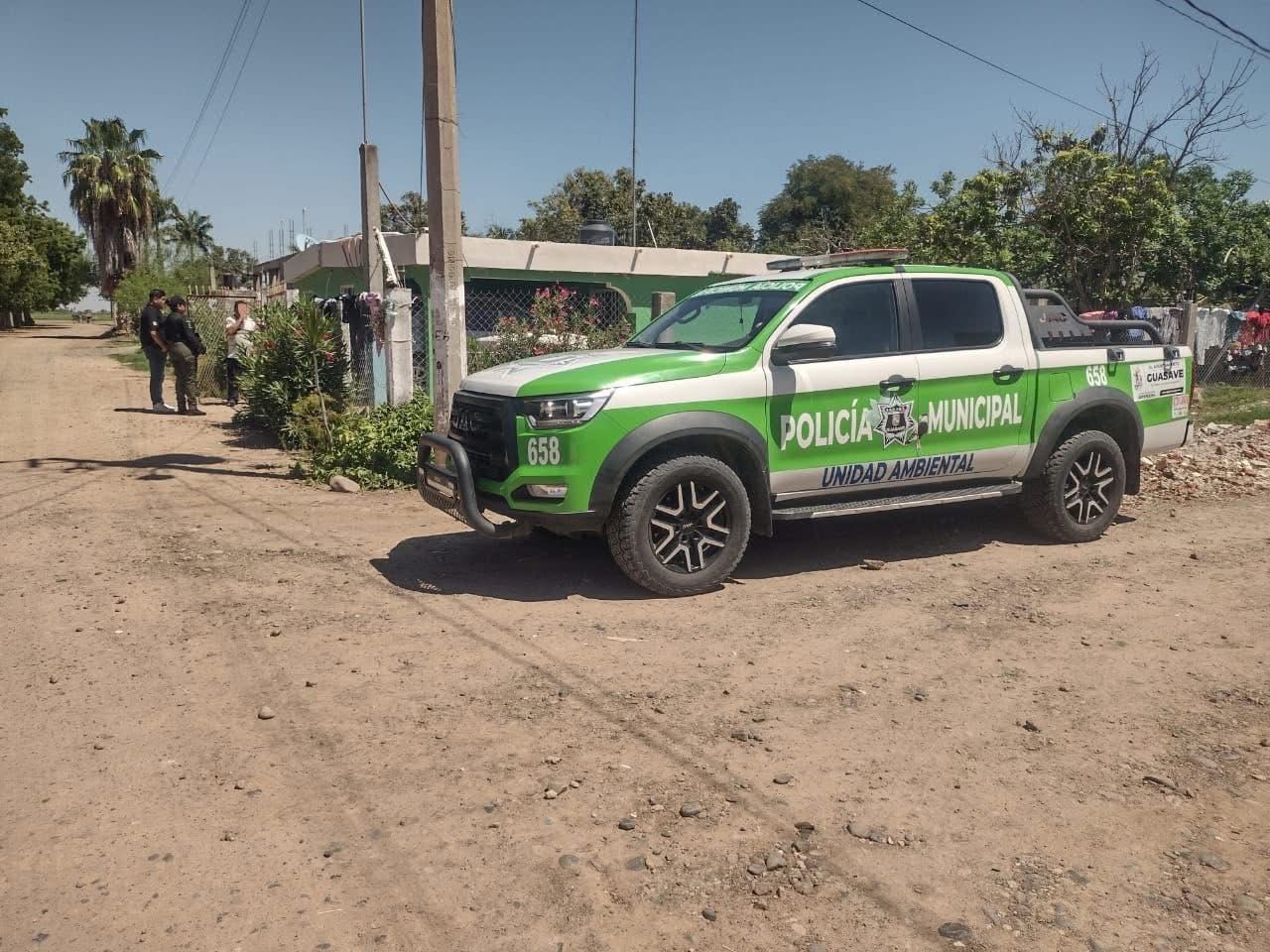 “Ya no es un juego, es un delito”, advierte Seguridad Ciudadana en Guasave por maltrato animal