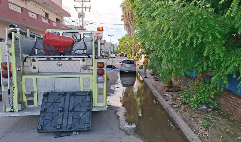 Bomberos Mazatlán retiran químico en la calle