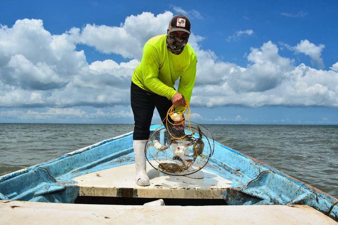 Captura de jaiba en Angostura
