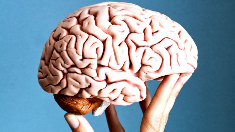 La pandemia aceleró el envejecimiento cerebral incluso en quienes no se contagiaron