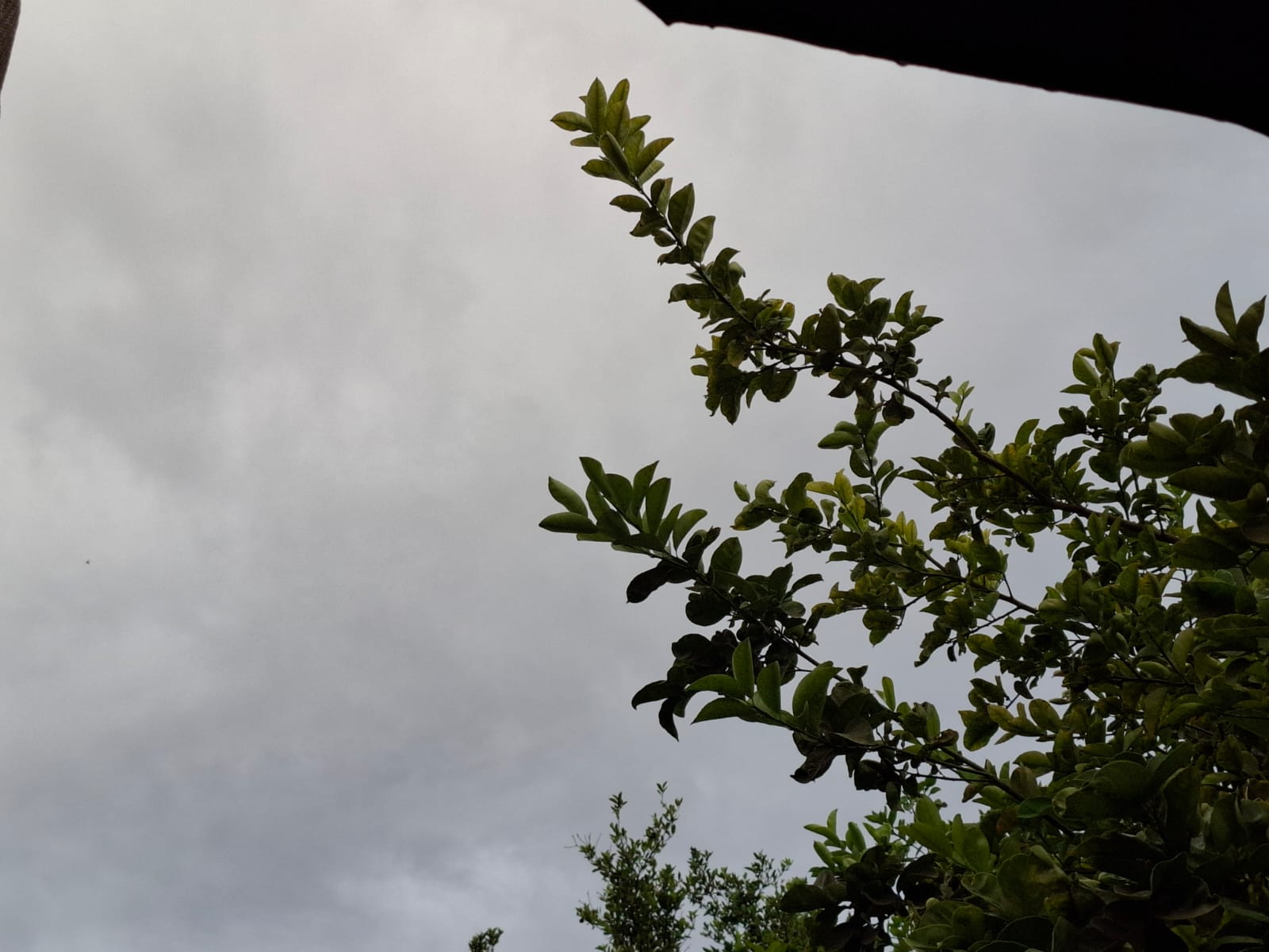 Lluvias de Ahome