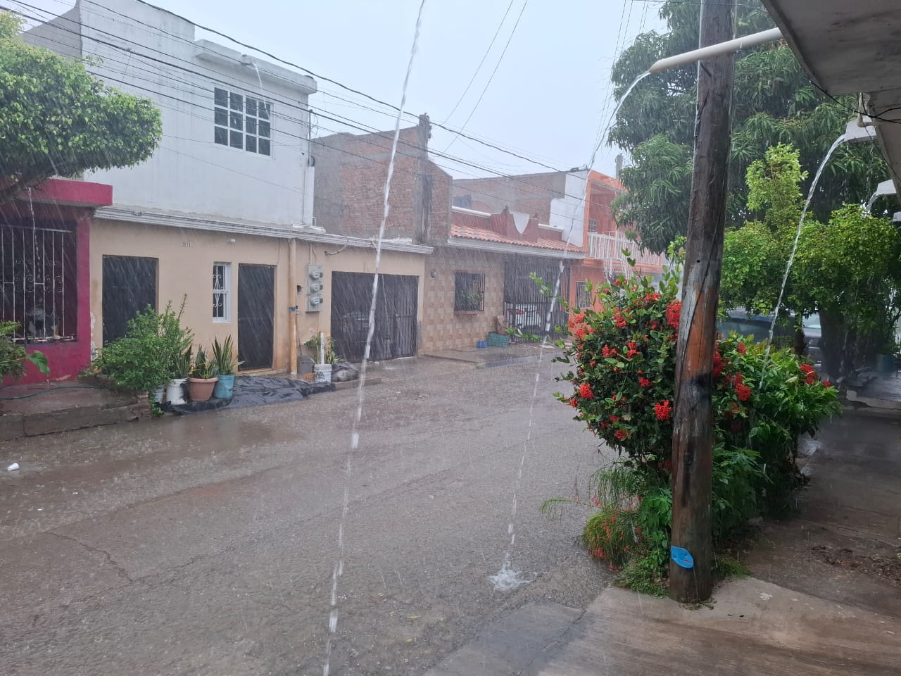 Lluvias de Mazatlán