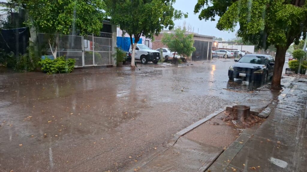 Lluvia intensa y tormentas eléctricas marcan el arranque del fin de semana en Guasave