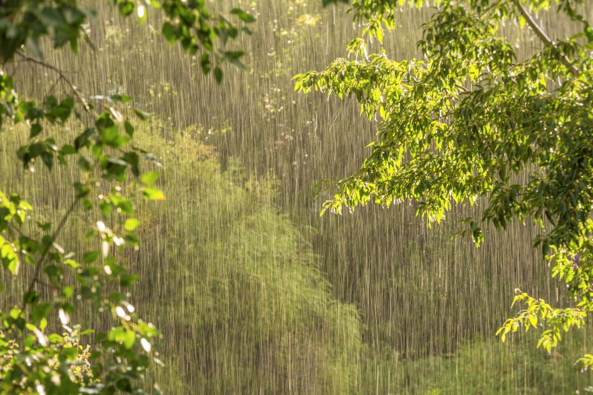 Lluvias intensas para Sinaloa