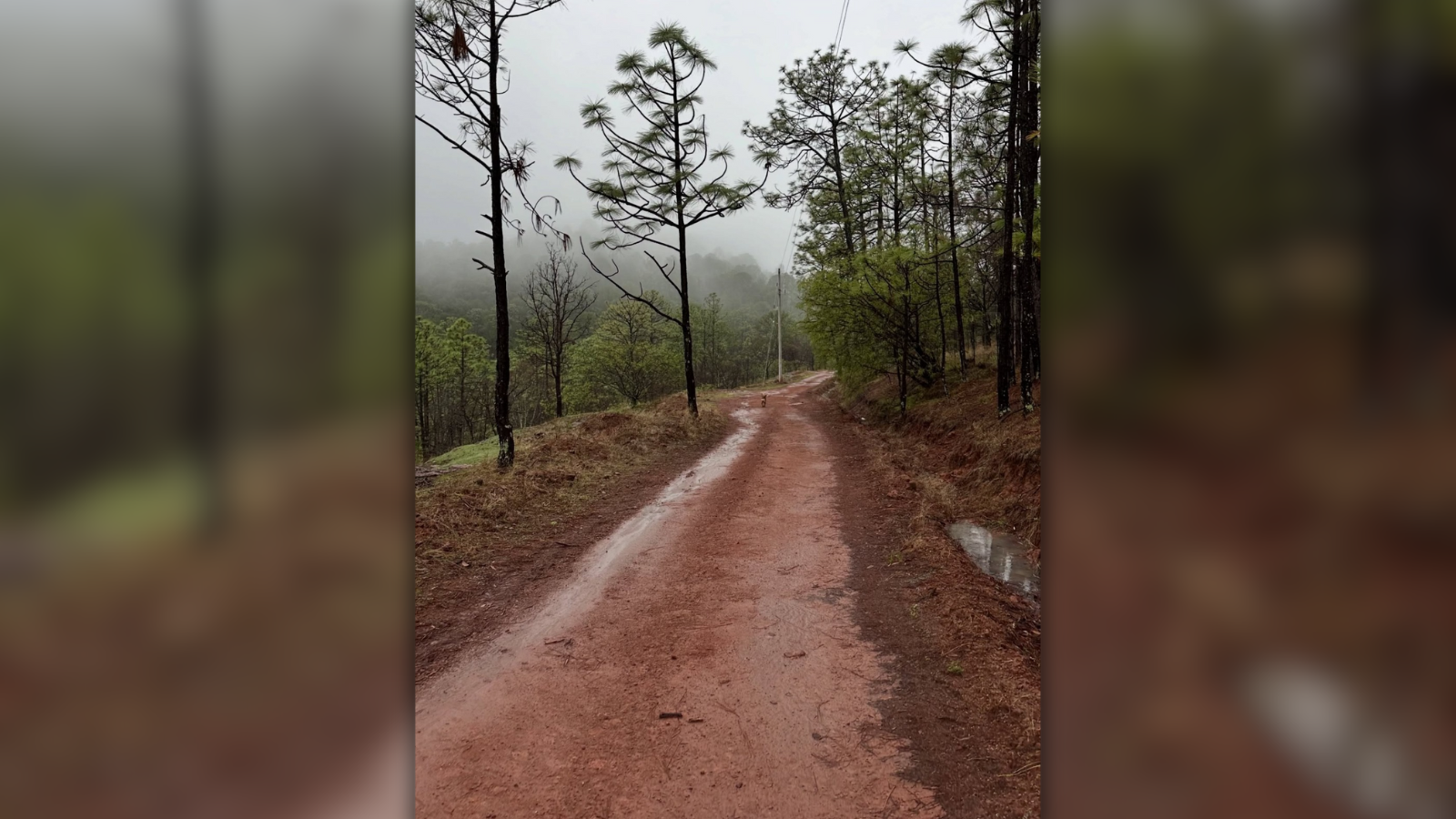 Lluvias en la sierra de Sinaloa