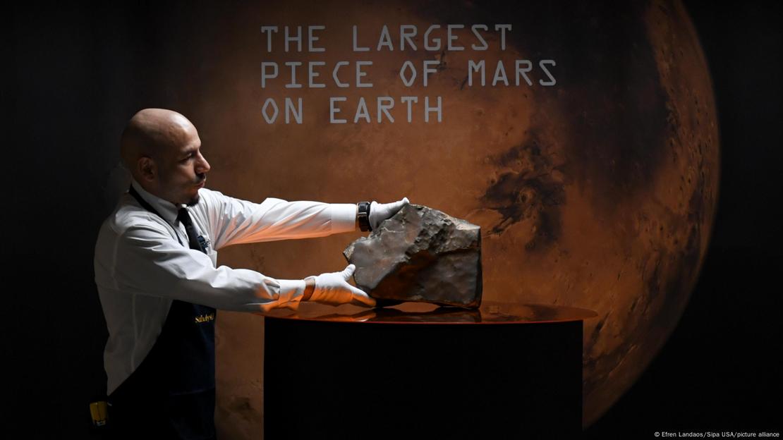 Meteorito de Marte y fósil de dinosaurio alcanzan cifras millonarias en subasta de Nueva York