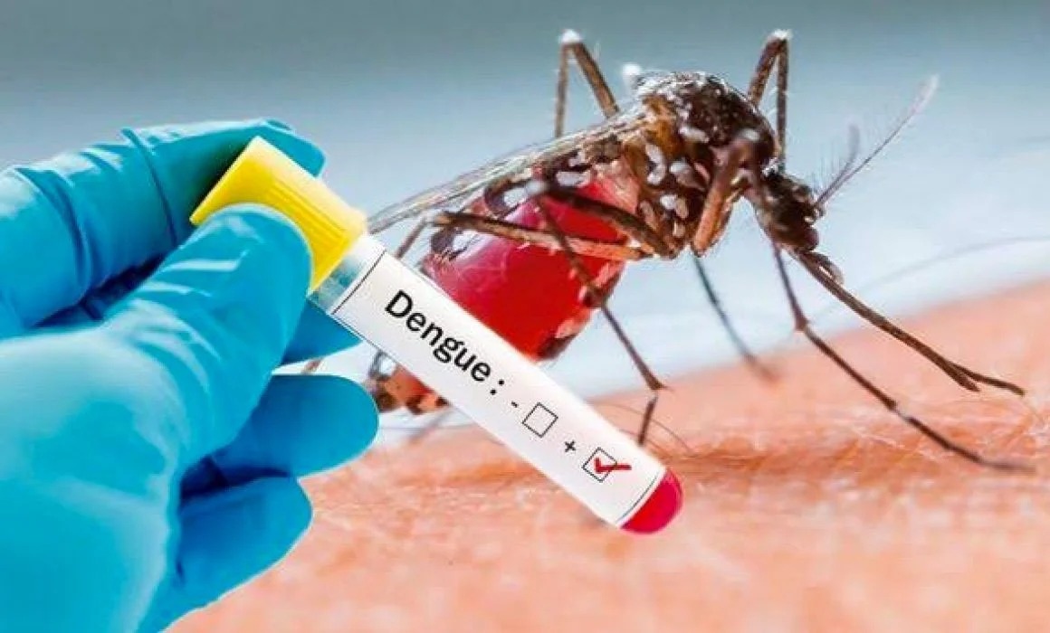 México registra 22 muertes por dengue en lo que va de 2025