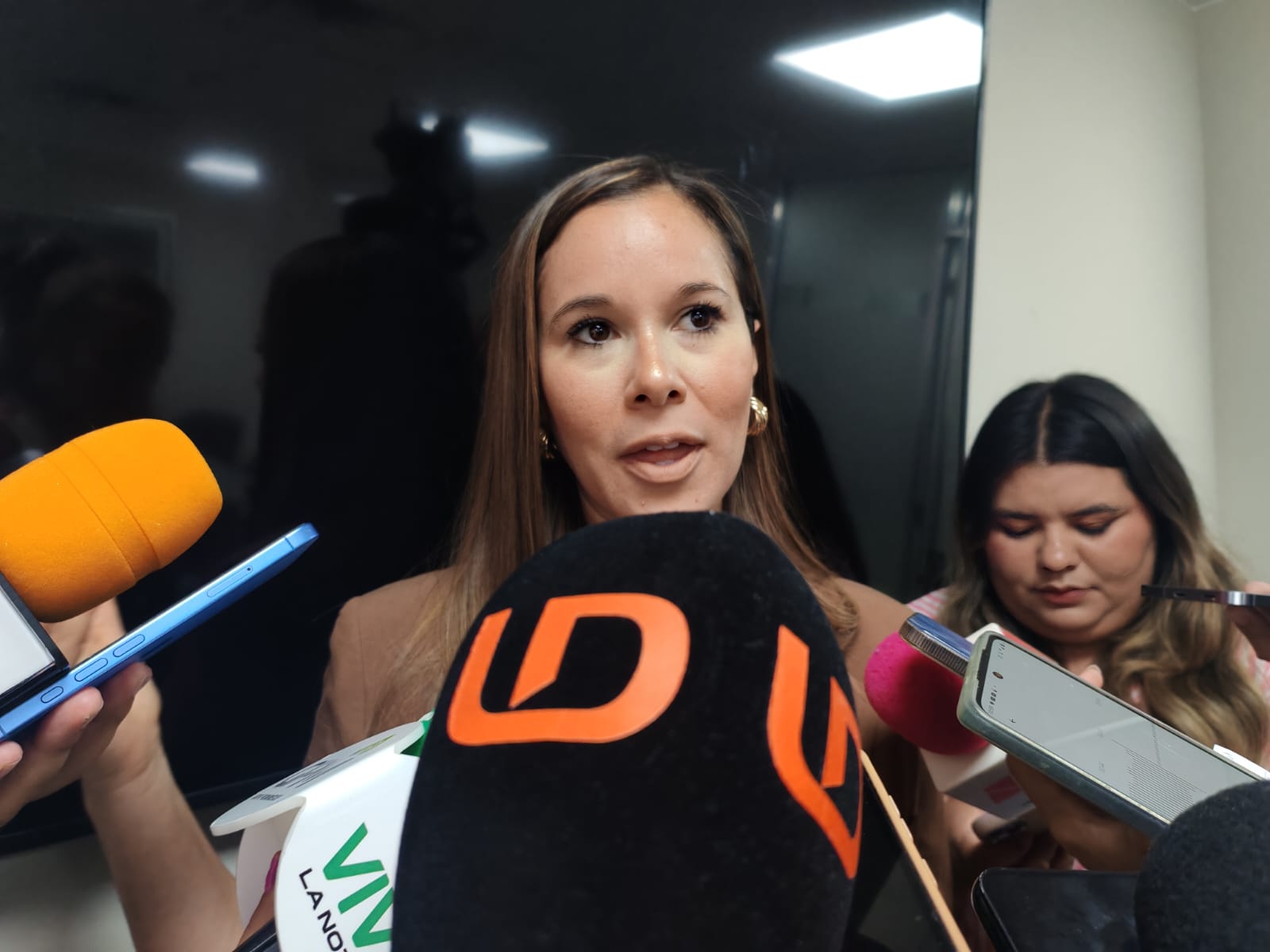 Mireya Sosa Osuna