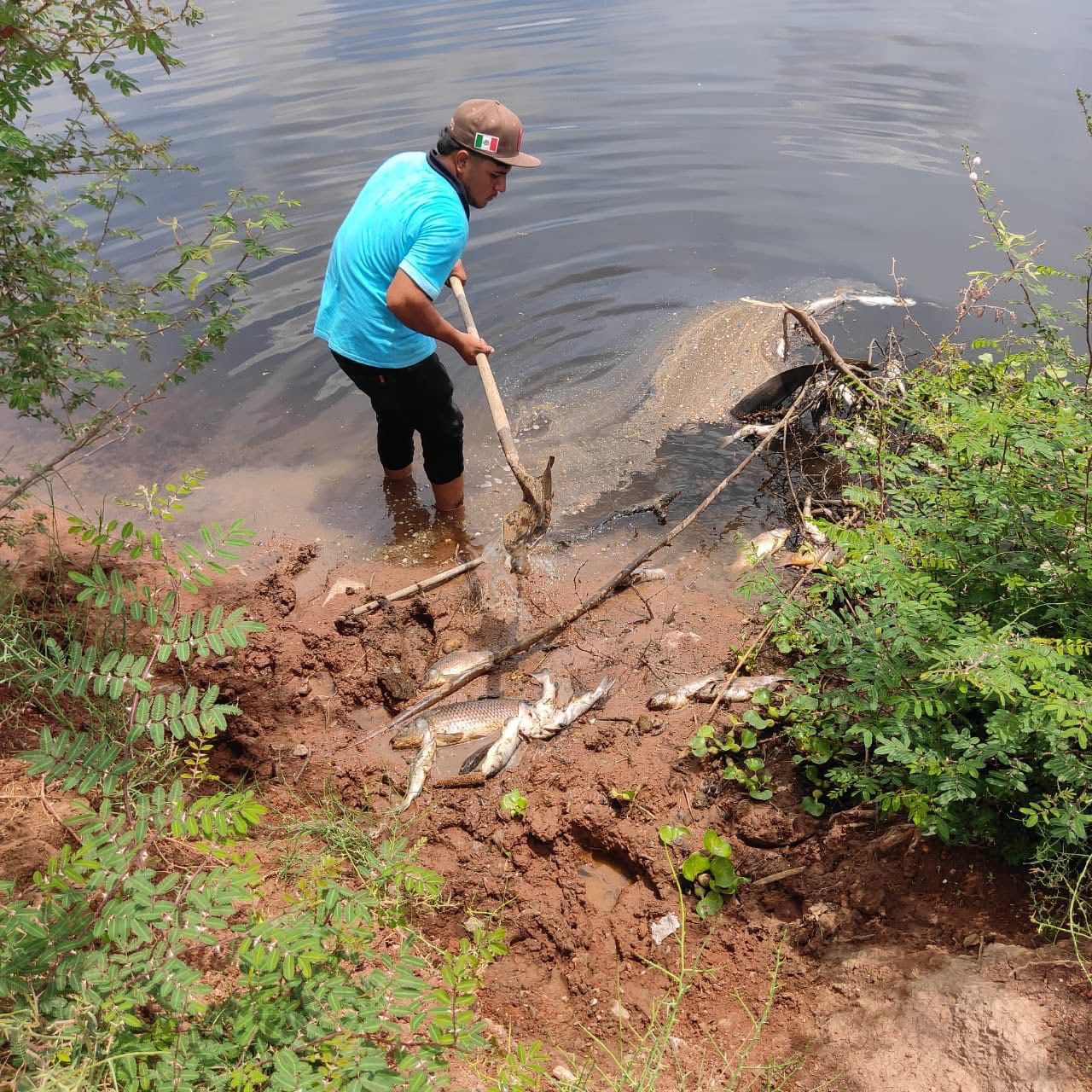 Mortandad de peces en el río Fuerte.
