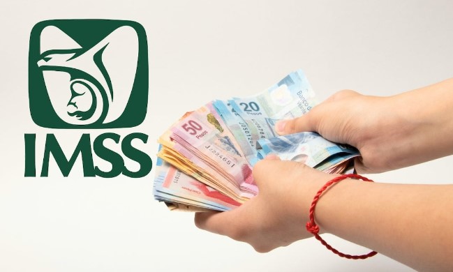 Pensión IMSS