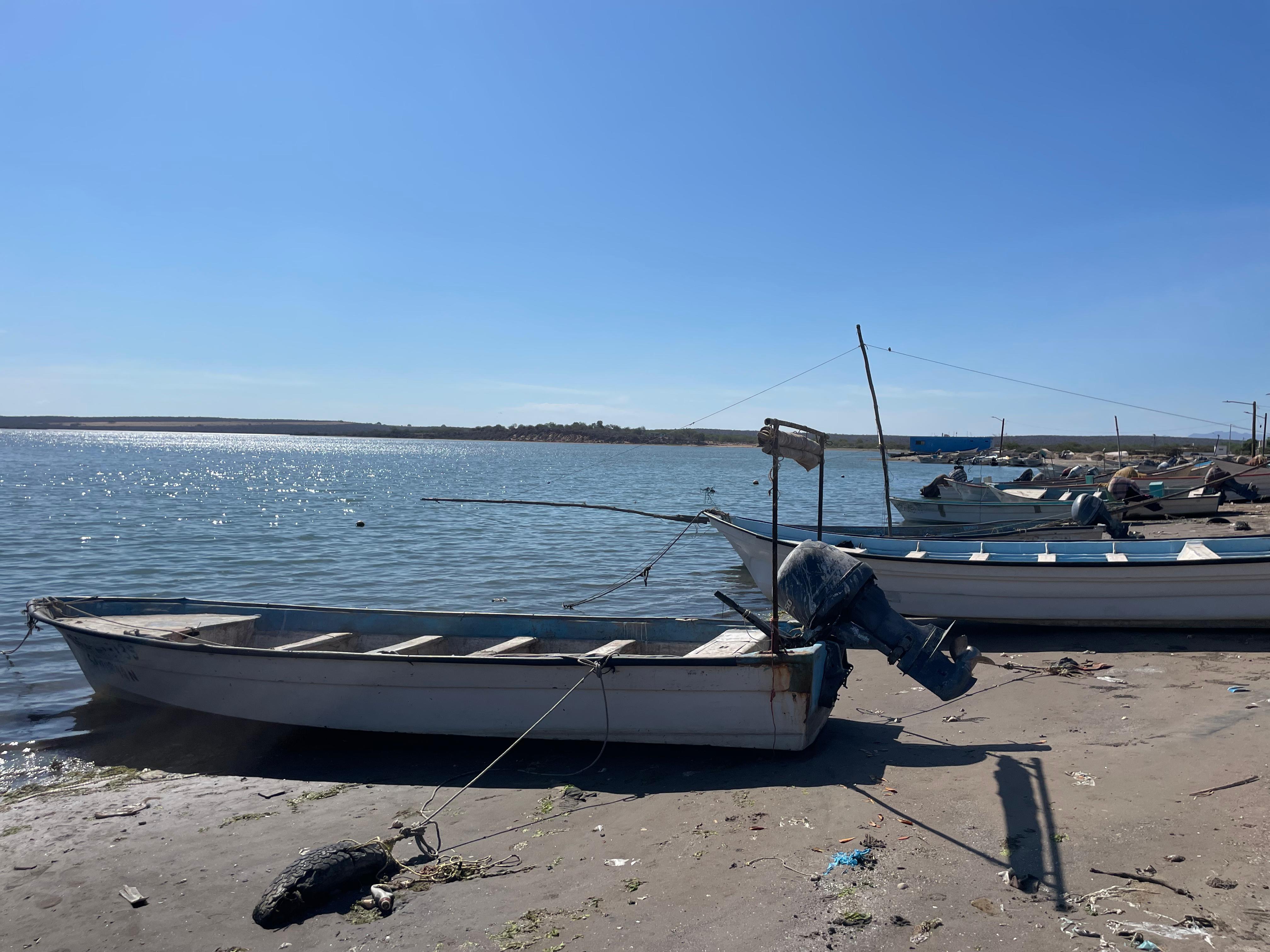 Pescadores esperan el levantamiento de la veda de camarón