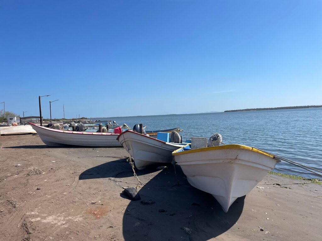 Veda deja sin empleo a pescadores