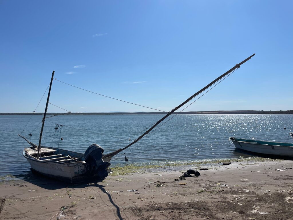 Veda deja sin empleo a pescadores