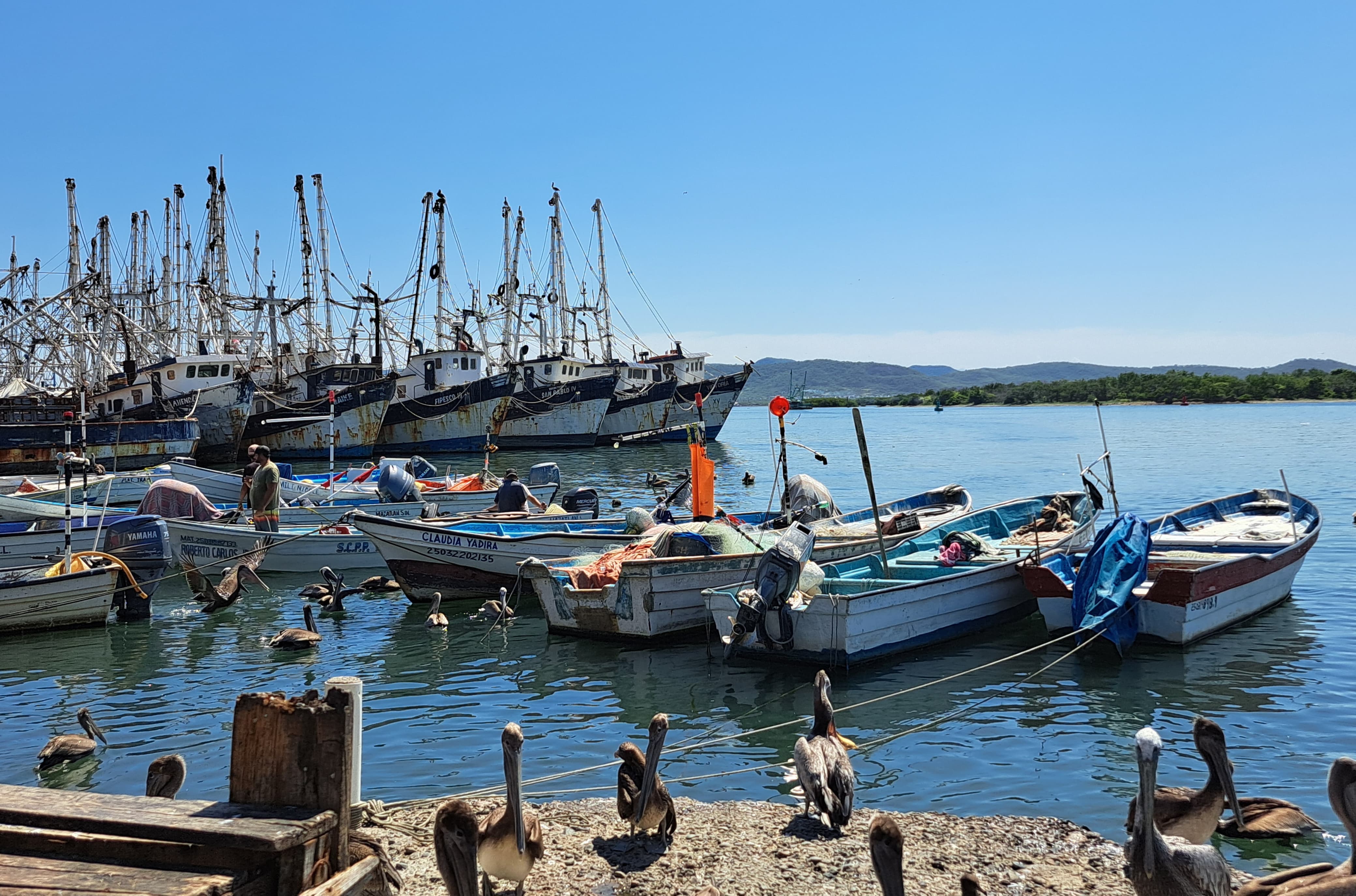 Pescadores de Mazatlán reportan oleaje inusual