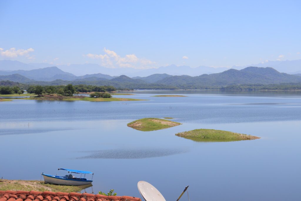 Presa Picachos