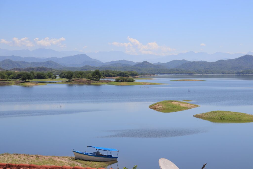 Presa Picachos