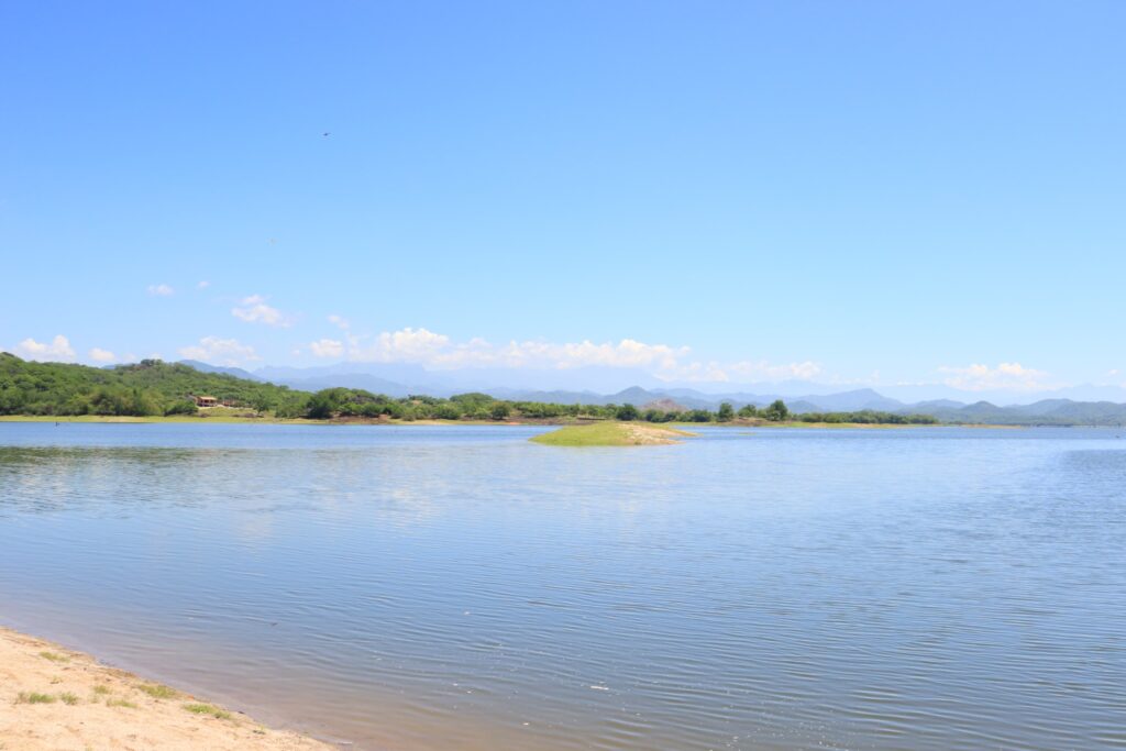 Presa Picachos