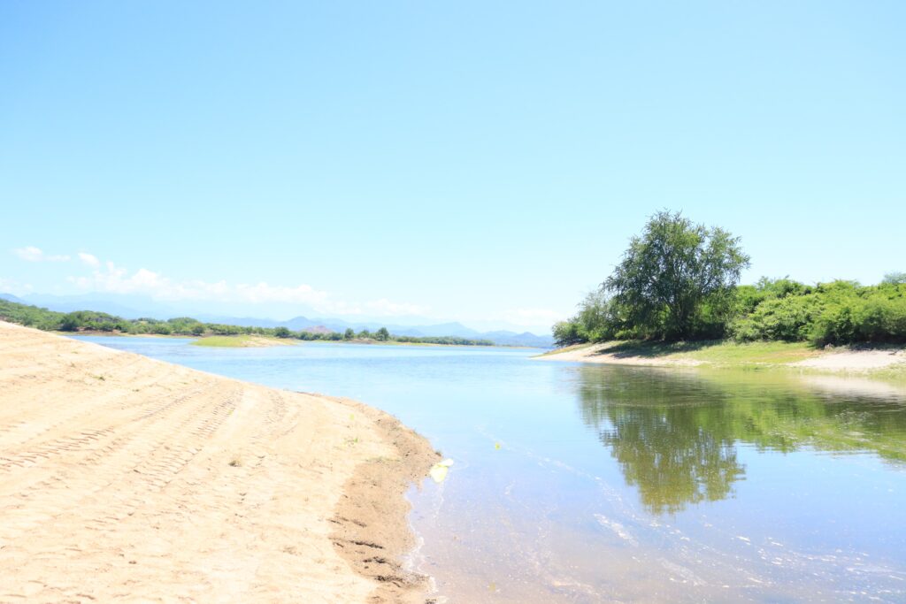 Presa Picachos