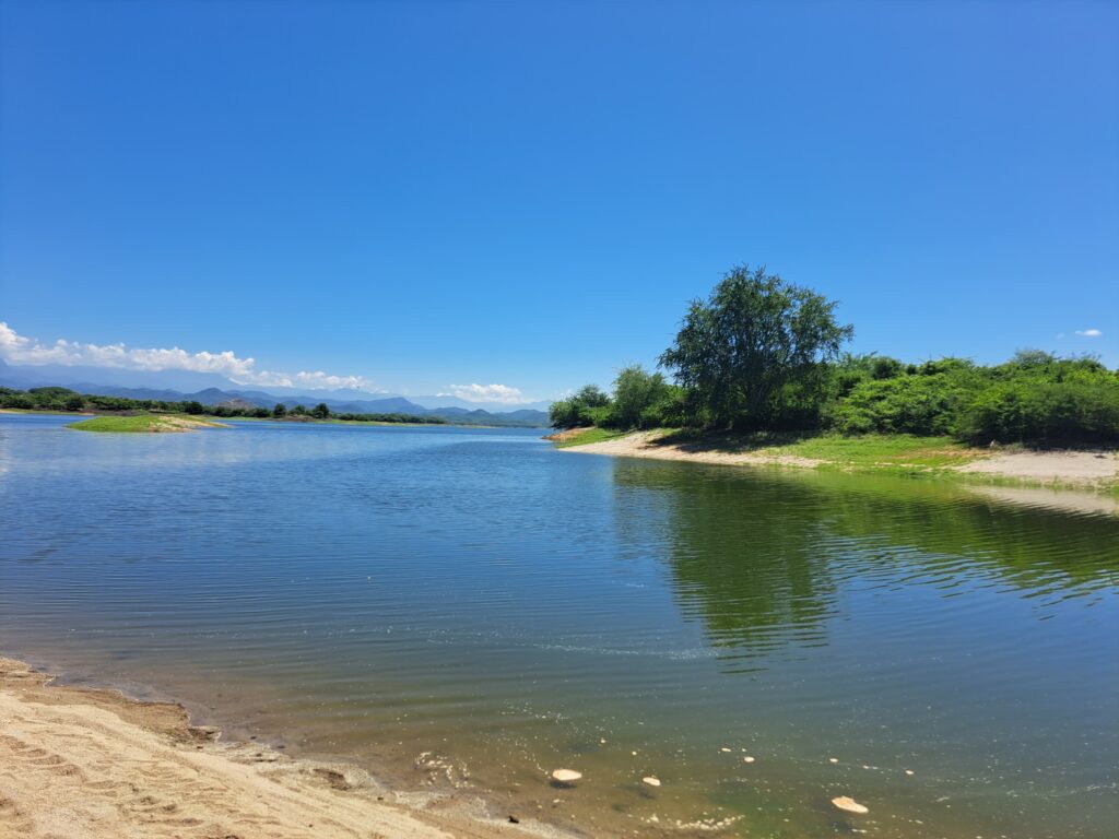 Presa Picachos