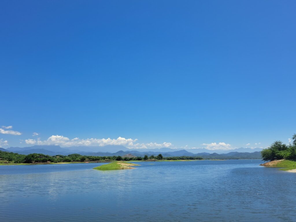 Presa Picachos