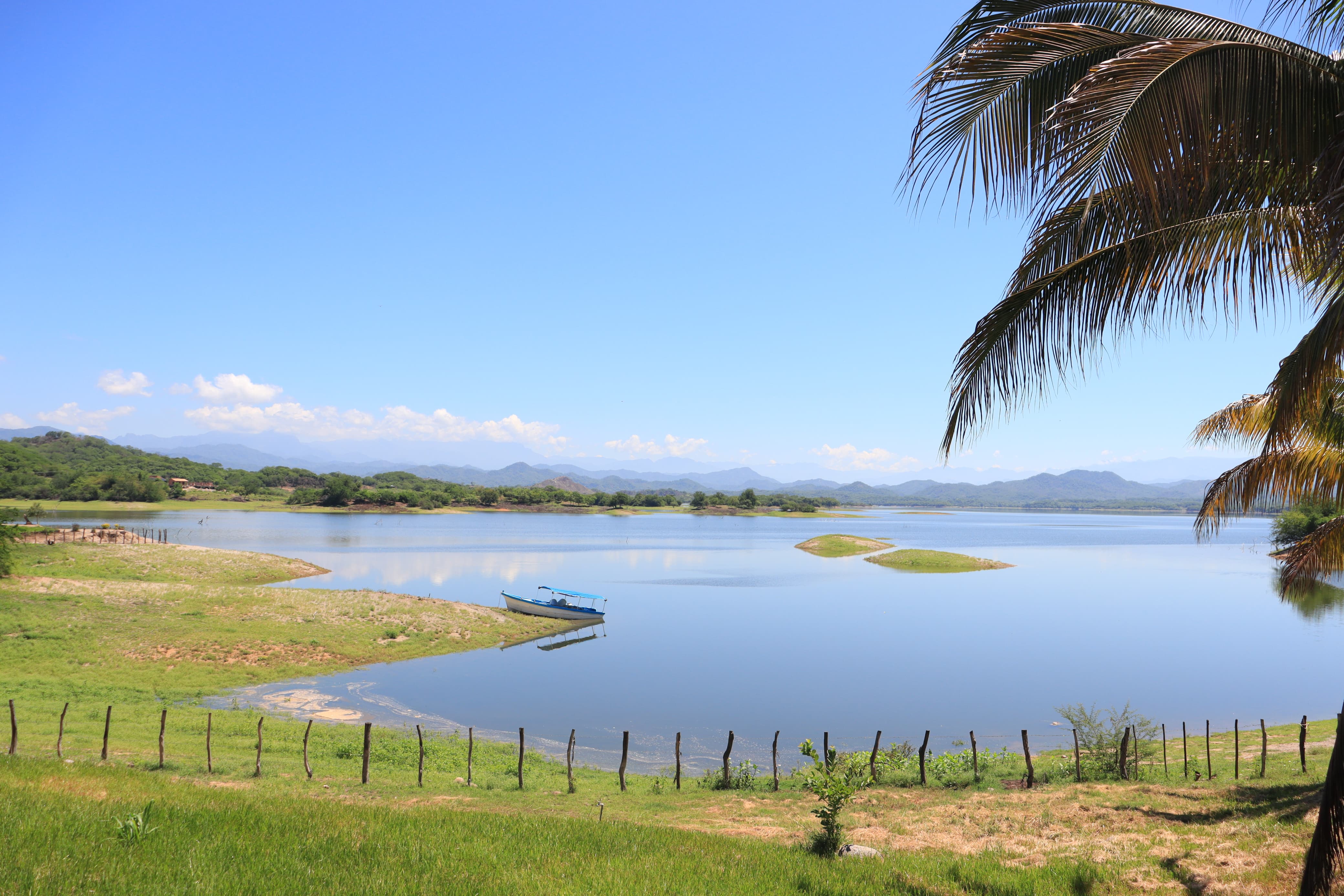 Presa Picachos