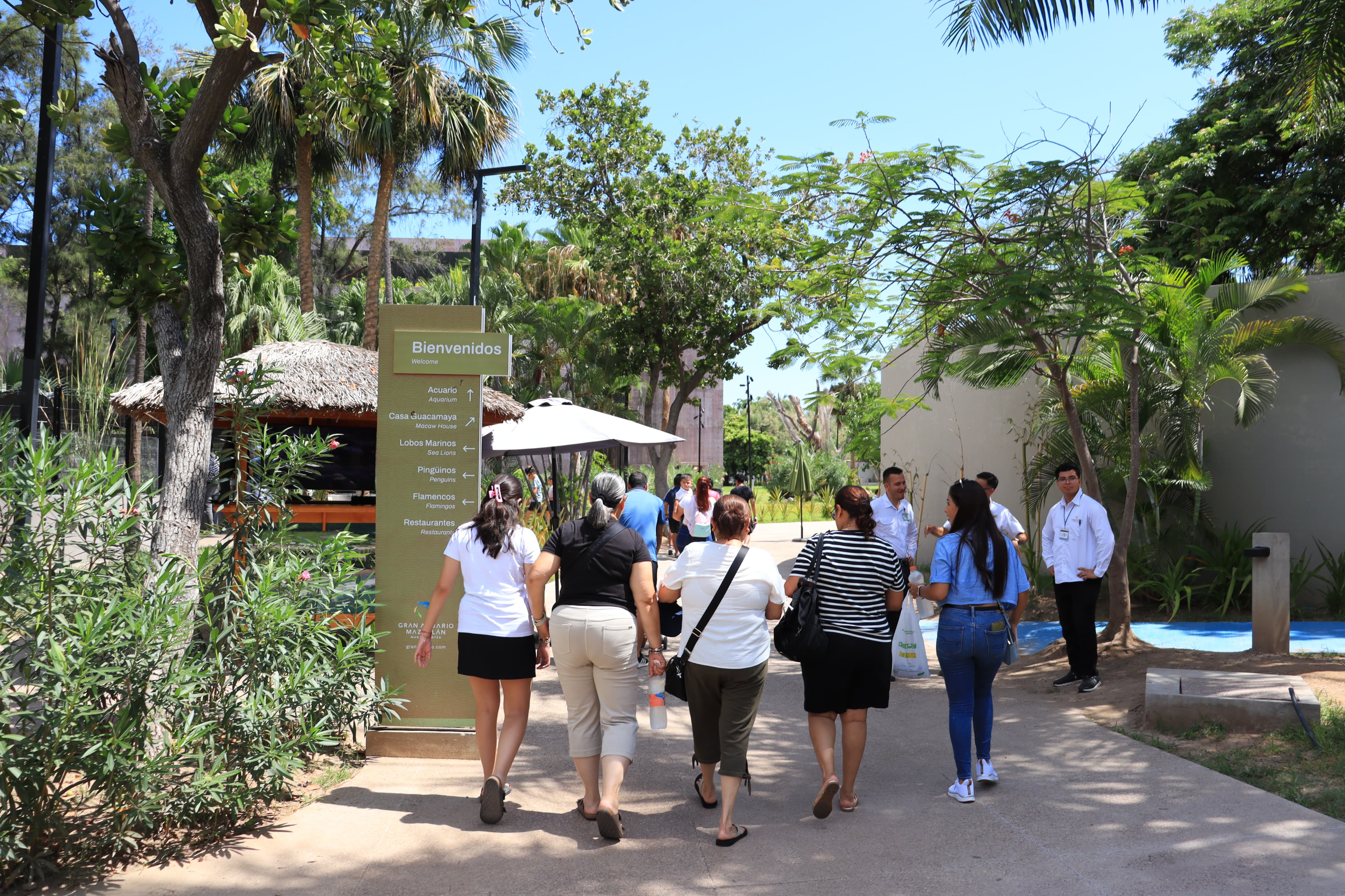 Repuntan 80 % las visitas al Gran Acuario de Mazatlán