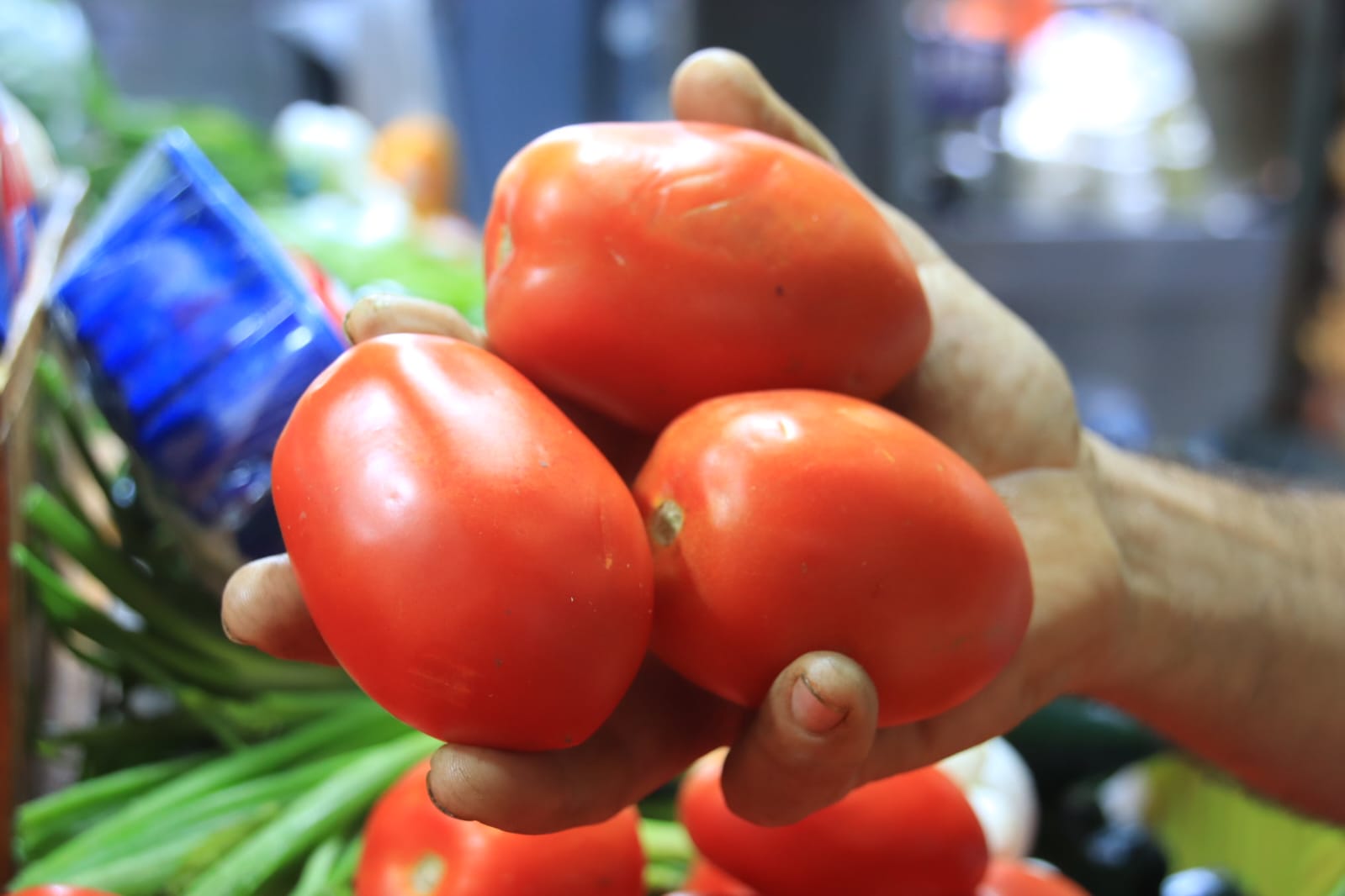 Rocha Moya, Caades y federación se reúnen para contener efectos del arancel al tomate mexicano