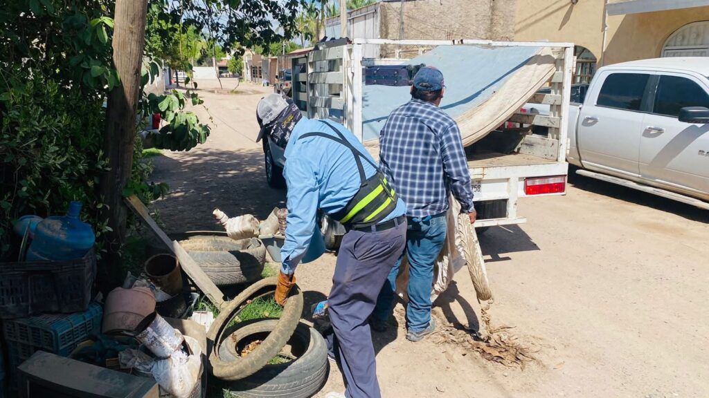 Salud prevé repunte de casos de dengue en agosto