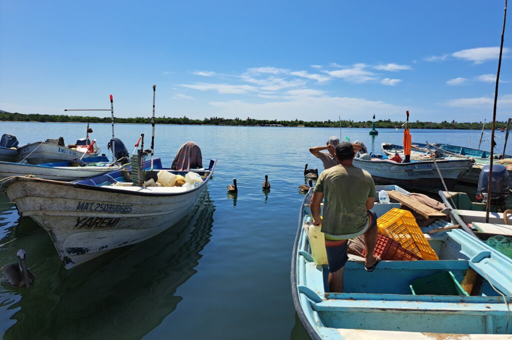 Solo en fines de semana registran buenas ventas de pescado en embarcadero a la Isla de la Piedra