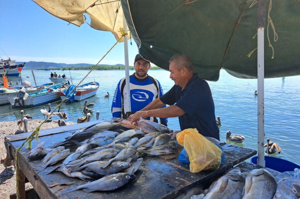 Solo en fines de semana registran buenas ventas de pescado en embarcadero a la Isla de la Piedra