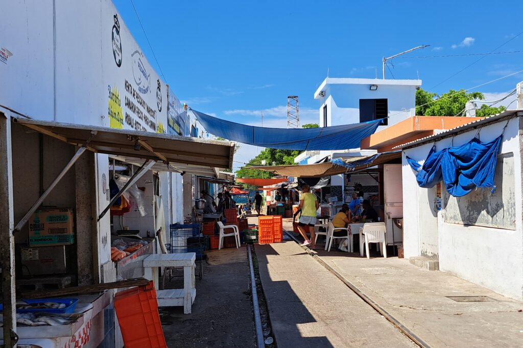 Solo en fines de semana registran buenas ventas de pescado en embarcadero a la Isla de la Piedra