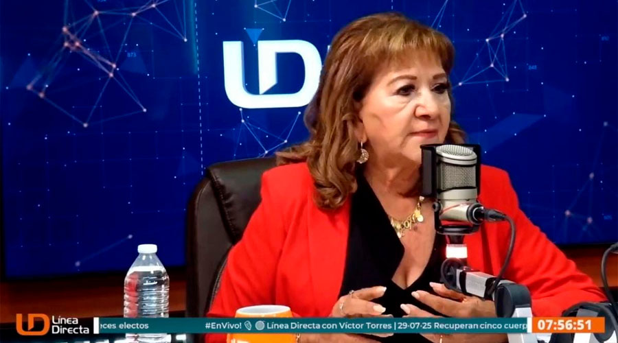 La diputada Tere Guerra