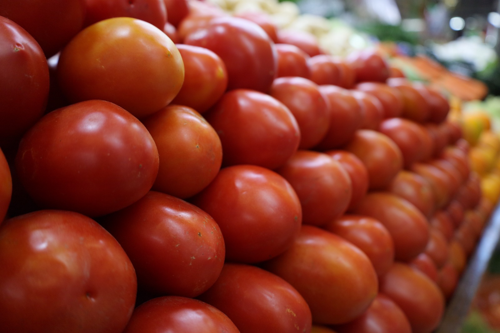 Del 17.09 %: Entra en vigor el arancel al tomate mexicano, confirma Departamento del Comercio de EU