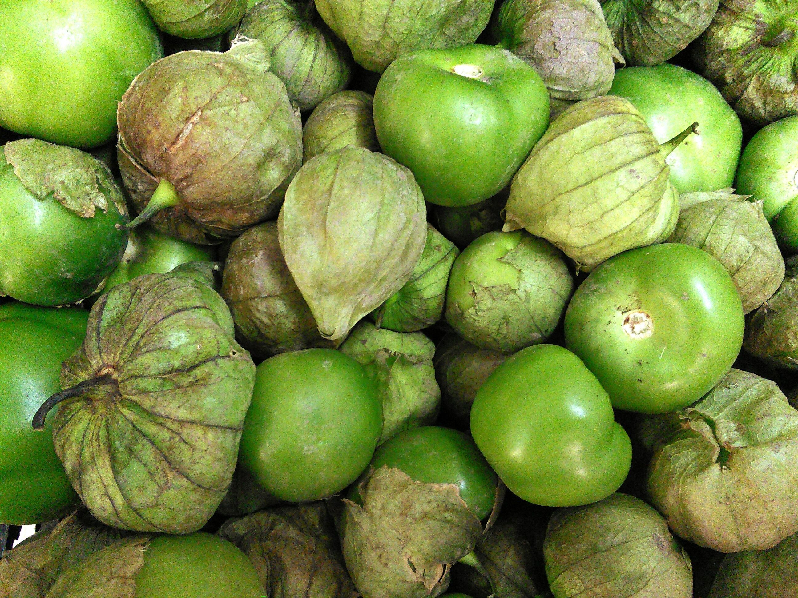 Tomate verde - tomatillo