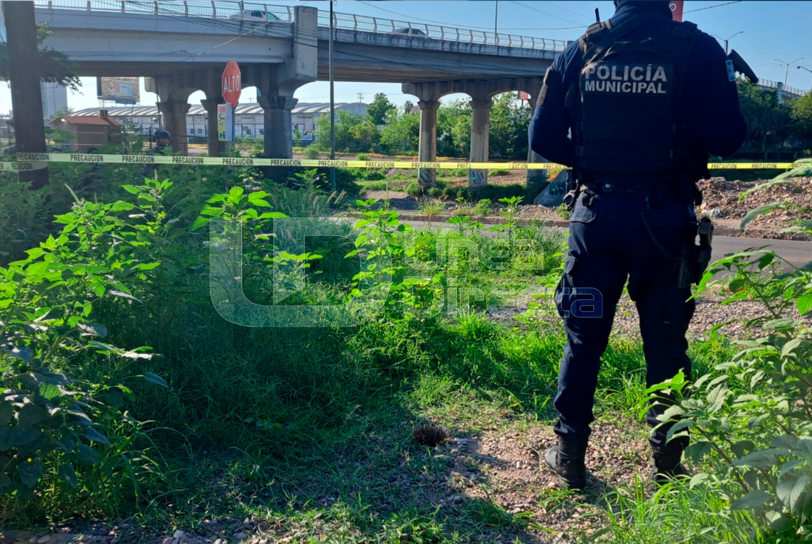 4 hombres asesinados en Culiacán