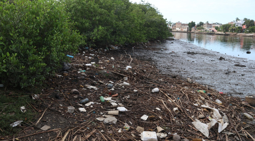 Basura y desechos sólidos