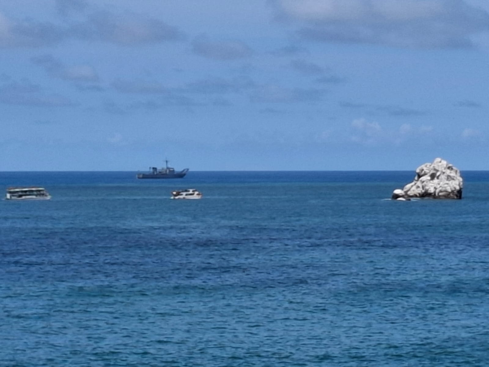 catamaranes