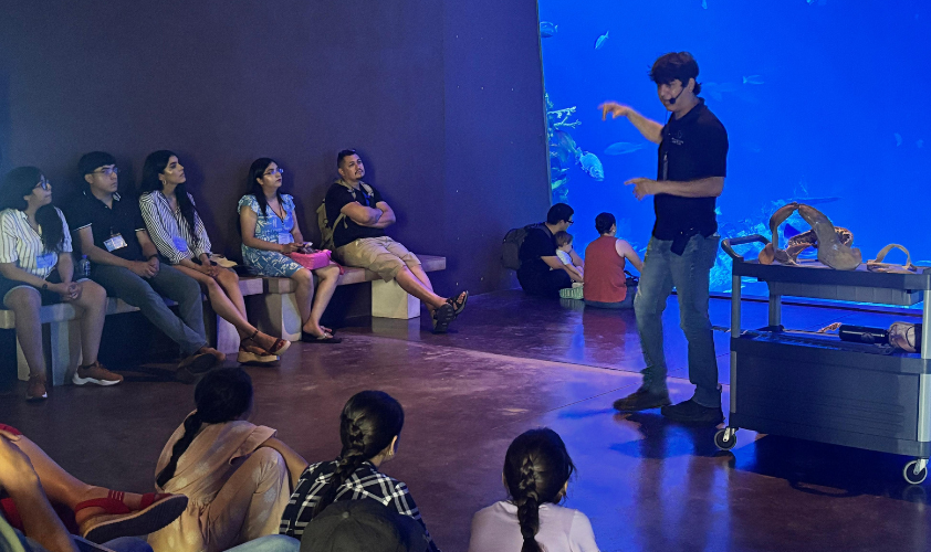 Semana del Tiburón de Gran Acuario Mazatlán