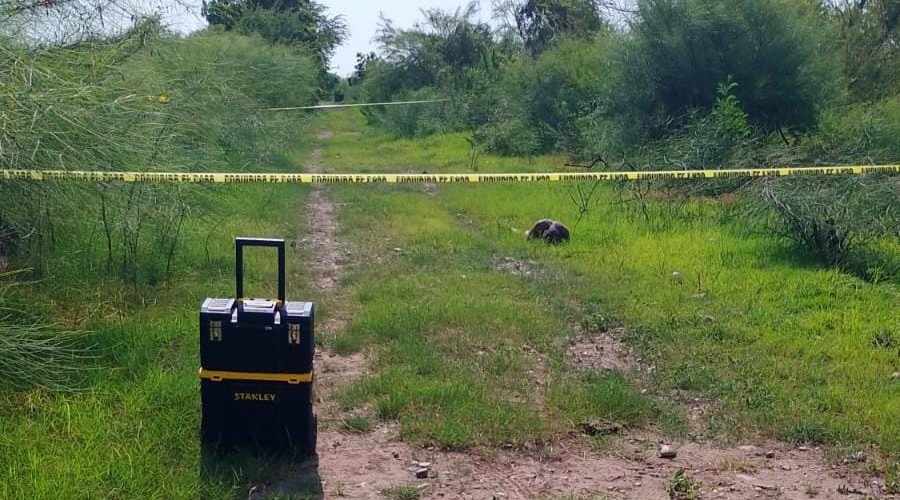 El hombre se había metido a bañar a un canal cuando fue atacado por un reptil.