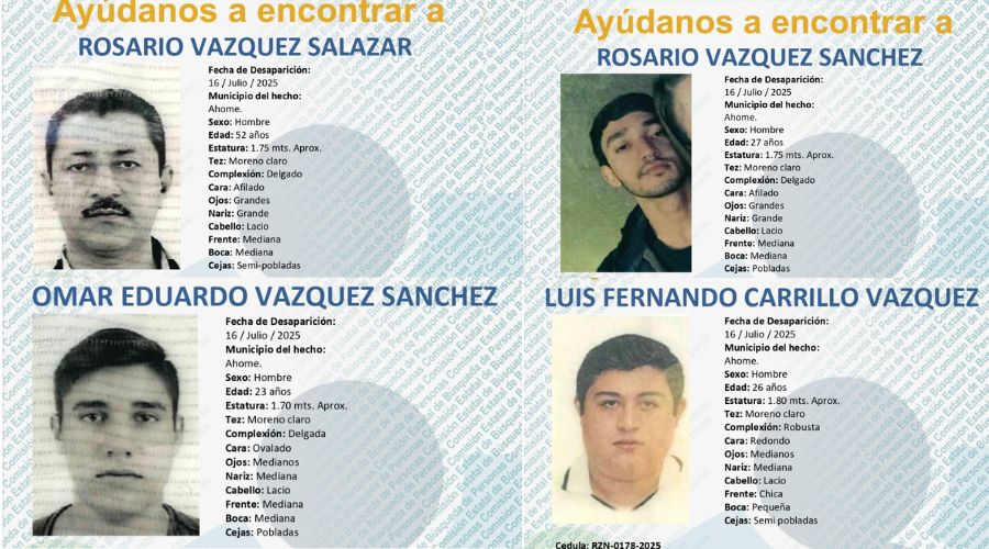 Fichas de búsqueda