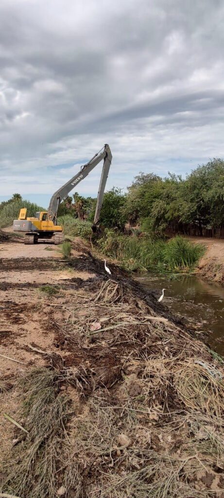 limpieza de drenes y canales en Ahome