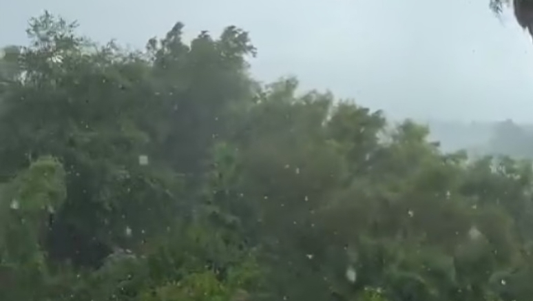 lluvias