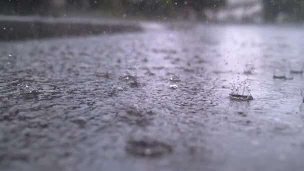 Gotas de lluvia