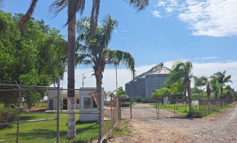 Bodega de maíz