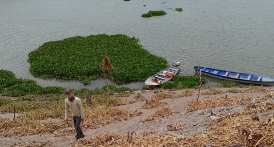 pescadores de Badiraguato