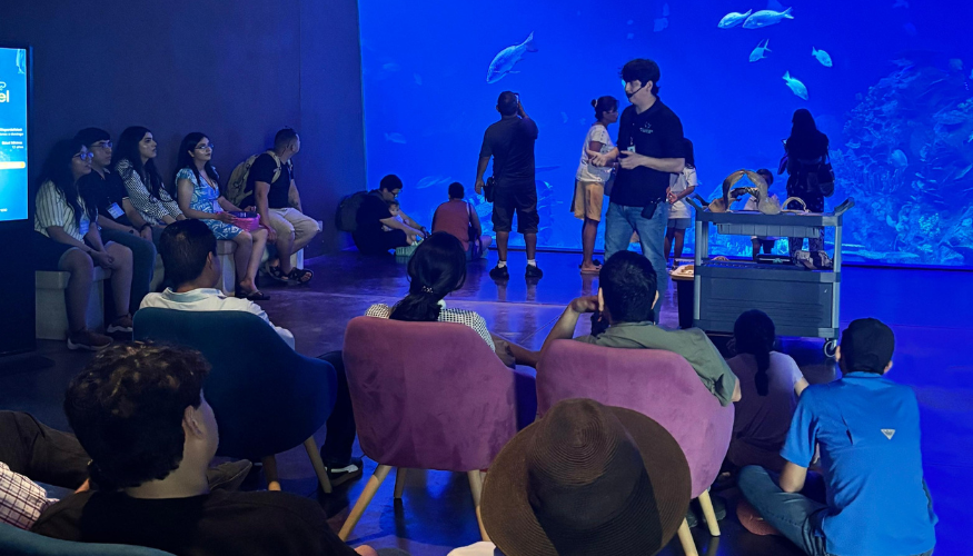 Semana del Tiburón de Gran Acuario Mazatlán