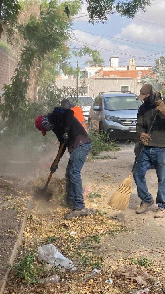Lo que hoy se poda, barre y se tira, ayudará a enverdecer parques y jardines de Guasave: Oficialía Mayor