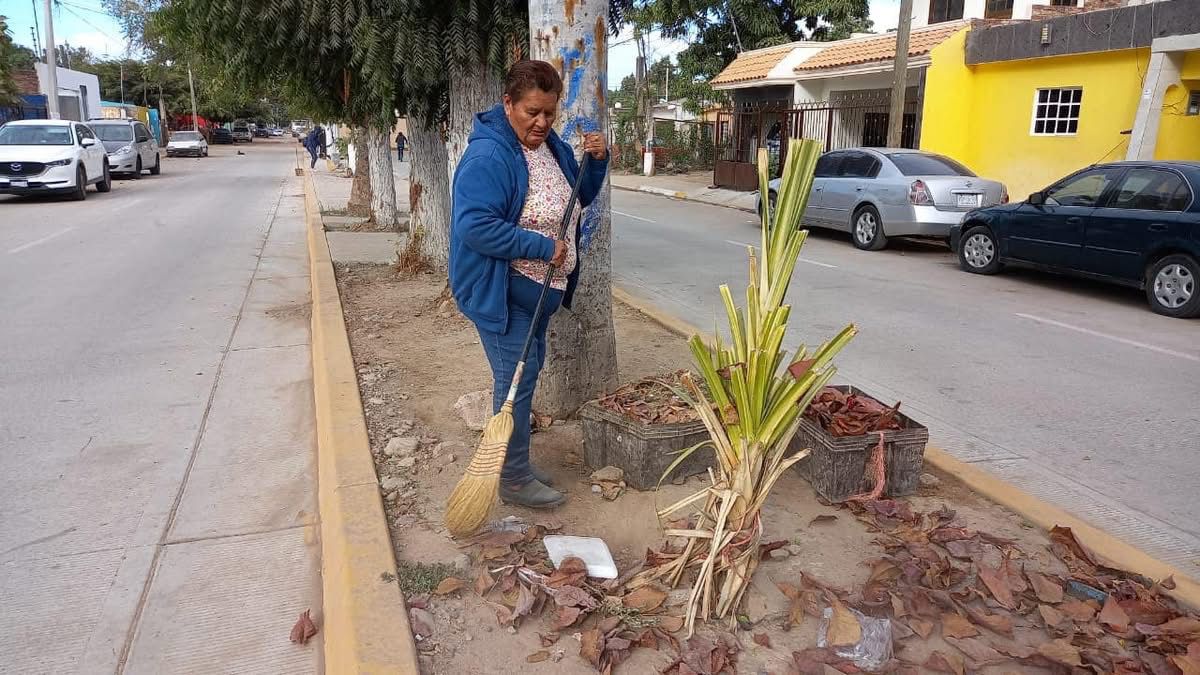 Lo que hoy se poda, barre y se tira, ayudará a enverdecer parques y jardines de Guasave: Oficialía Mayor