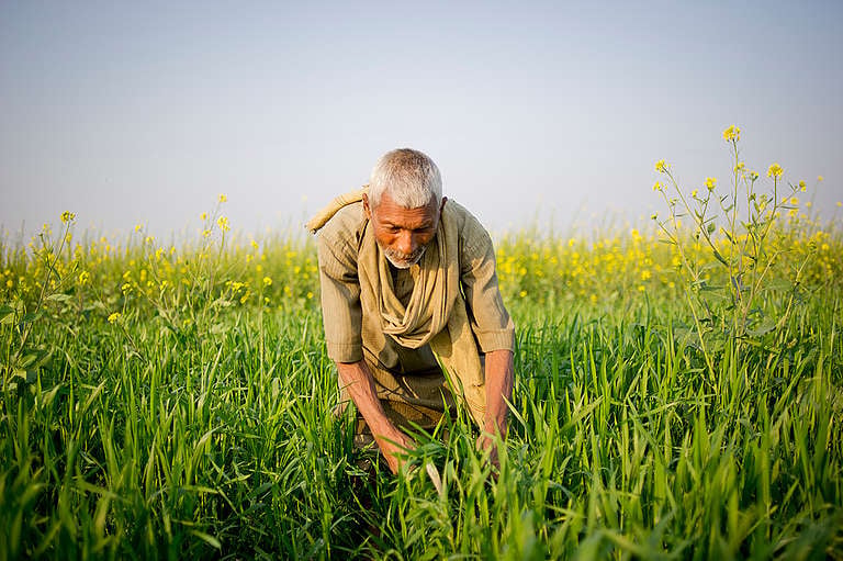 Adulto mayor en un campo.